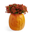 Pumpkin Planter