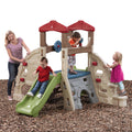 Alpine Ridge Climber & Slide